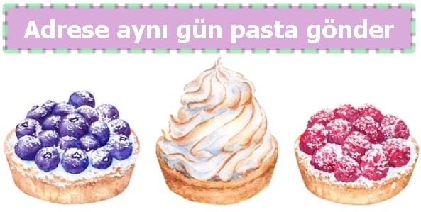 Adrese aynı gün pasta gönderin